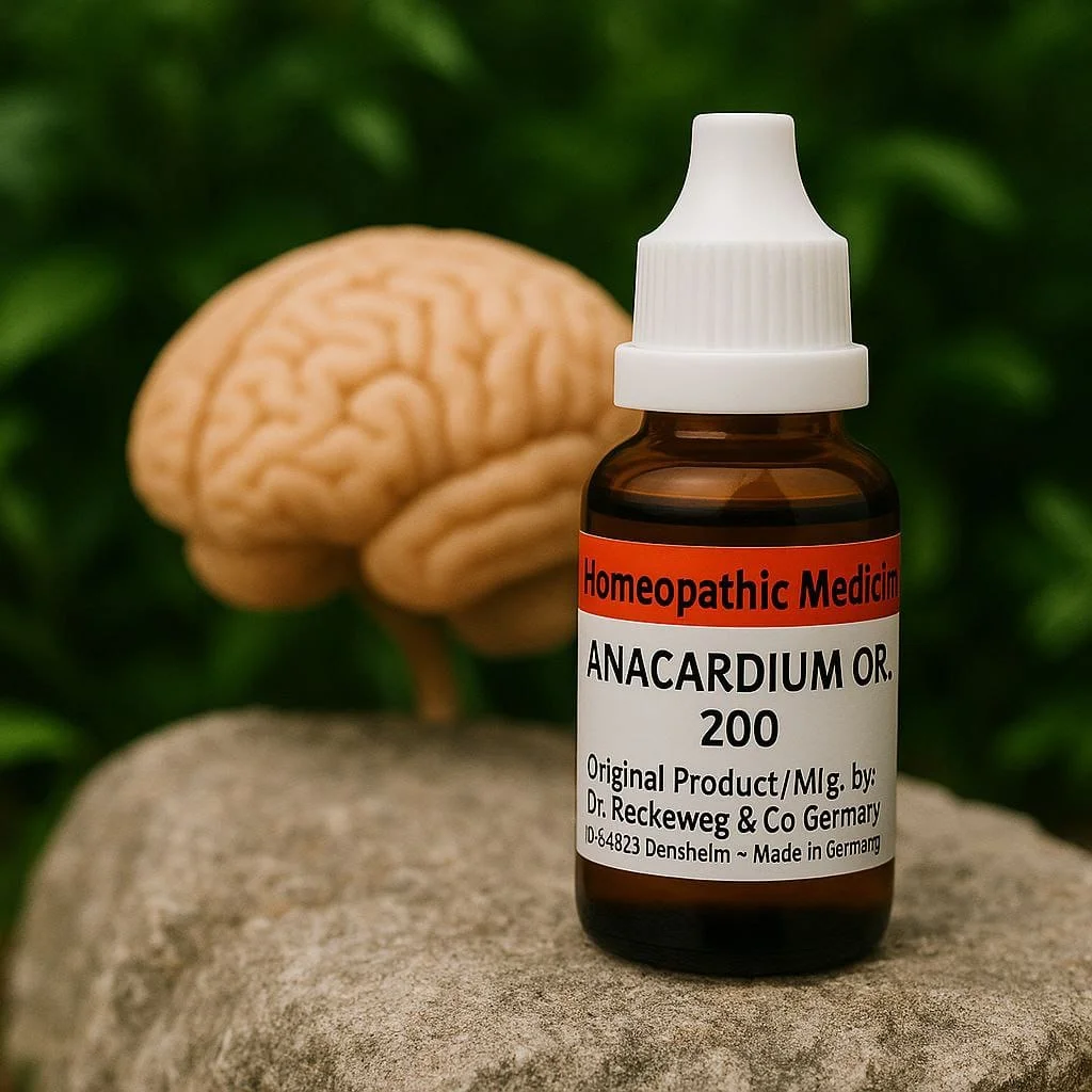 Anacardium Orientale